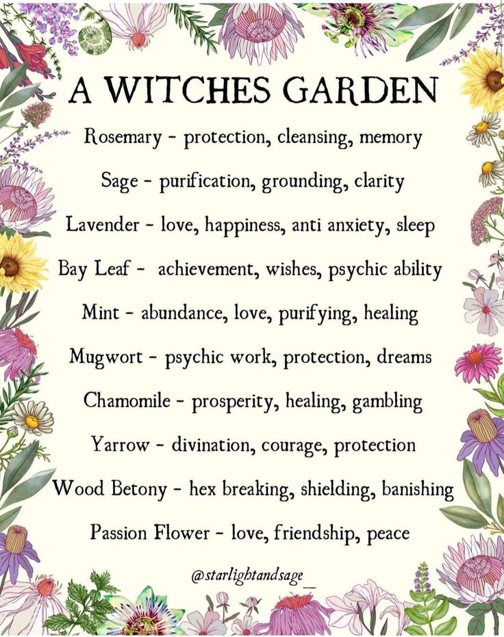 Crystals Spirituality, Witches Art, Folklore Mythology, Witches Garden, Gothic Love, Witchy Garden, Pagan Magic, Spiritual Nature, Witch Herbs