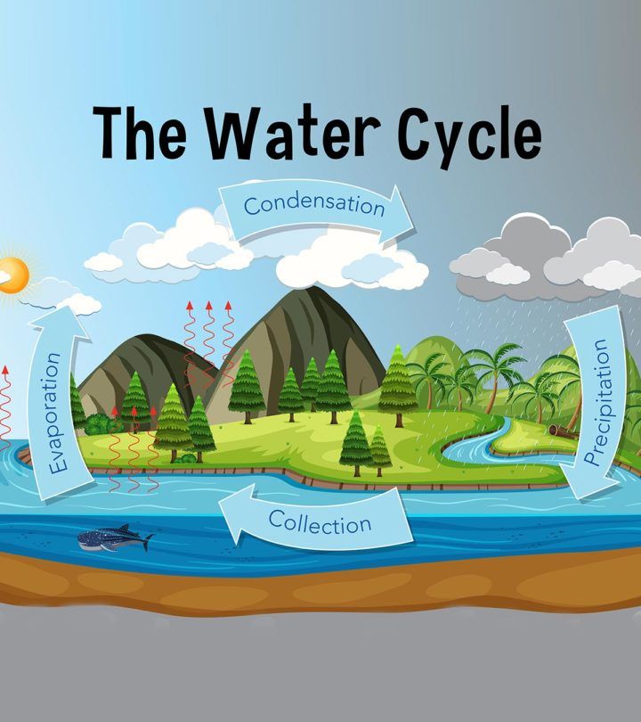 the water cycle is shown in this graphic, with different types of water and land