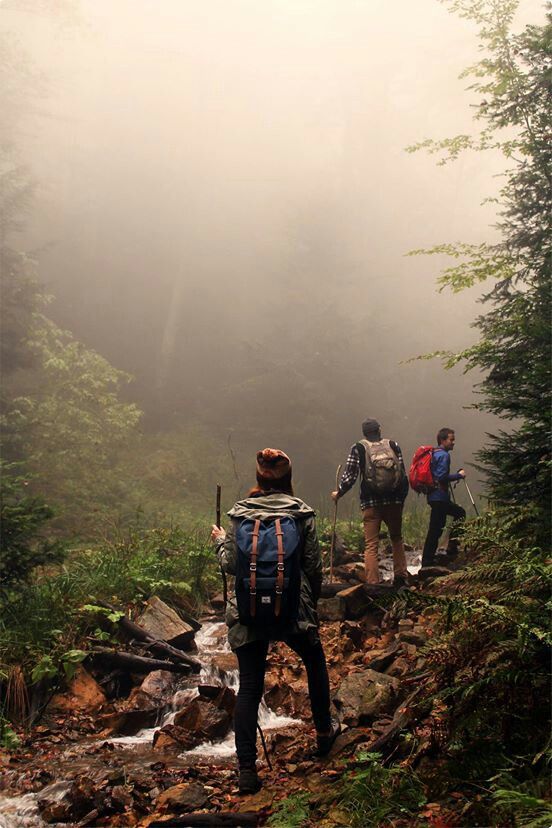 three hikers trekking up a rocky trail in the woods on a foggy day