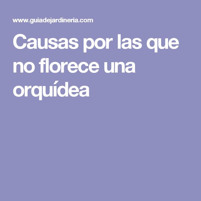 the text reads causas por las que no force una orquidea