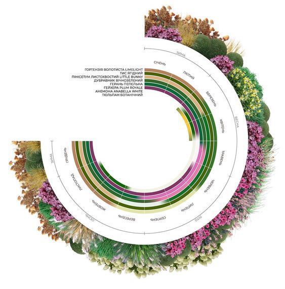 a circle with different colored lines in the center and flowers around it, all on top of each other