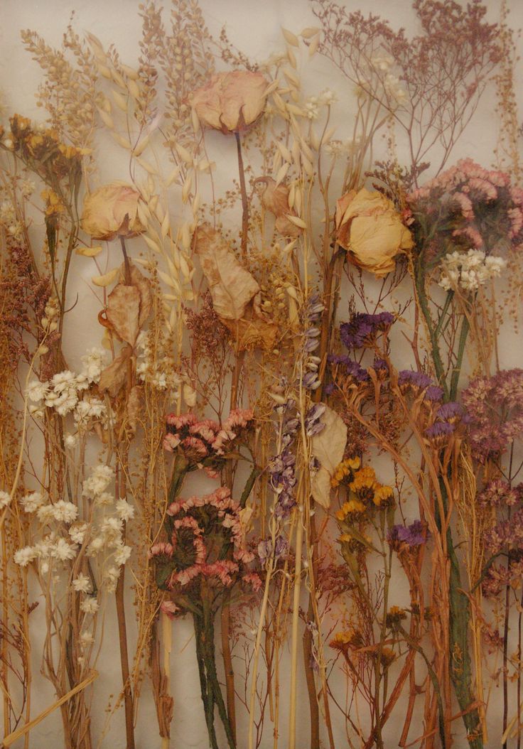 an image of dried flowers on the wall