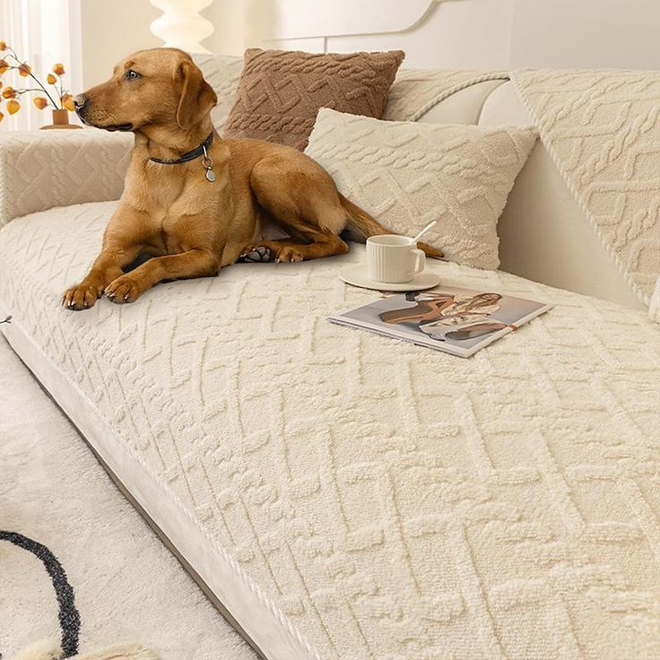 a brown dog laying on top of a white couch next to pillows and a coffee cup