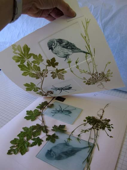 some plants and birds are on top of sheets of paper that have been cut out