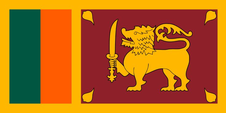 the flag of sri is shown in red, yellow and green with an image of a lion