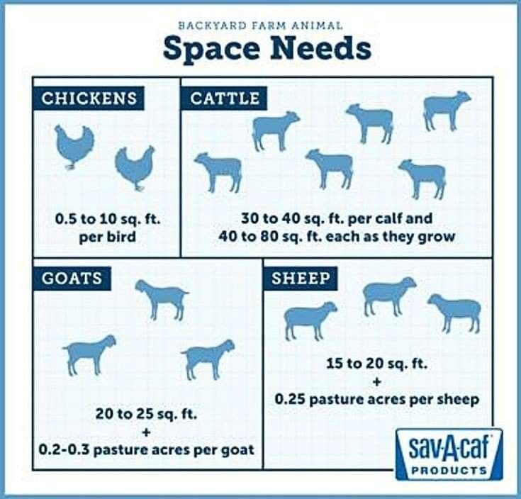 a poster showing how to feed animals in space