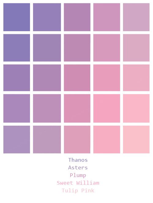 the color scheme for thomas aster's plum, sweet william tulip pink