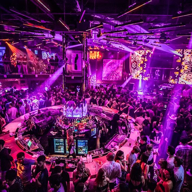 a large group of people in a nightclub