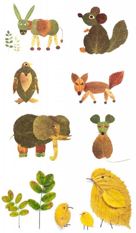 an image of various animals and plants on a white background