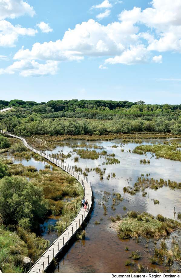 people walking across a bridge over a river in the middle of a lush green field