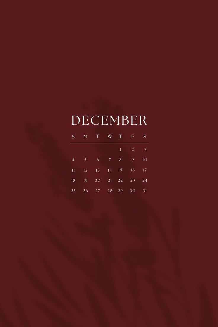 study, motivation, planner, calendar, organization, wallpaper, background, note taking Calendar 2022 December, 2022 December Calendar, December Month Calendar, Motivation Calendar, Planner December, Motivation Study Aesthetic, Red Calendar, December Planner, Calendar Aesthetic