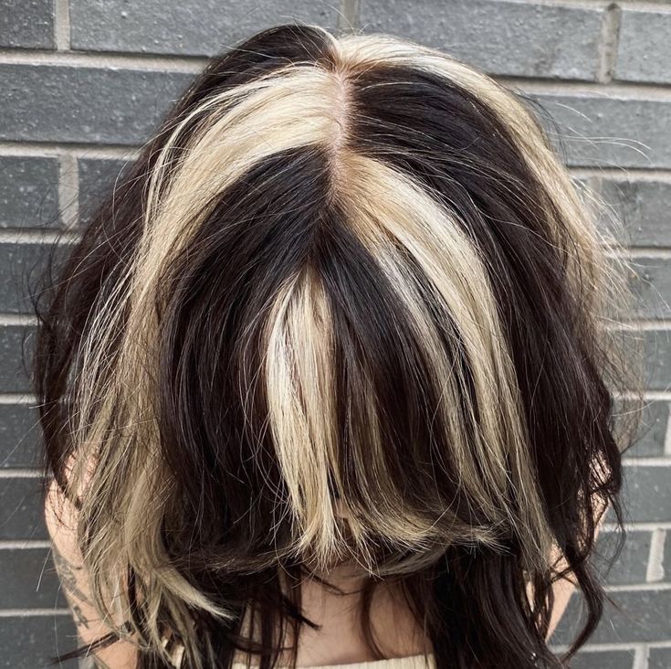 Highlight Streaks Black Hair, Mullet With Chunky Highlights, Short Chunky Highlights, Split Dye Highlights, Wolfcut With Skunk Highlights, Short Hair Black And Blonde, Black And Blonde Hair Skunk, Quarter Blonde And Black Hair, Asymmetrical Highlights