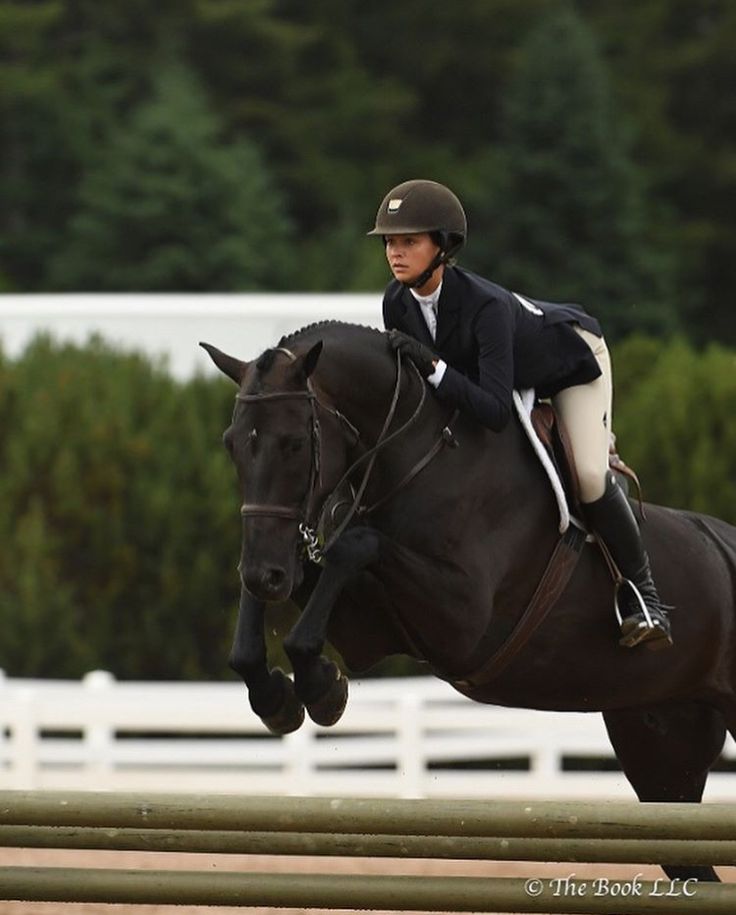 a woman riding on the back of a brown horse over an obstacle in front of trees