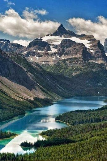 the mountains are covered with snow and green trees in the foreground is a lake surrounded by evergreens