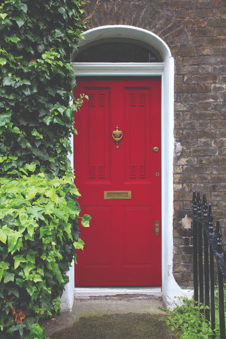 a red door is surrounded by greenery