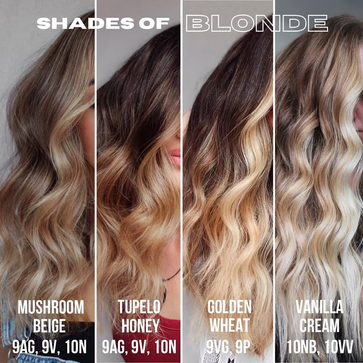 Balayage | Educator on Instagram: “SAVE THIS for blonde colour inspo! @redken #shadeseq edition! ⚠️2nd formula correction: Tupelo Honey is VG, not AG Formulating is my…” Shades Eq Ag Formulas, Redken Shades Eq Formulas Nb, Fall Blonde Redken Formula, Gold Shades Eq Formula, Redken Balayage Formula, Honey Shades Eq Formula, Warm Blonde Shades Eq Formula, Shades Formulas, Redken Color Formulas