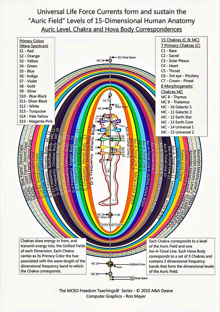 Chakra Anatomy, Chakra Centers, Different Realms, Etheric Body, Reiki Symbols, Spirit Science, Chakra System, Energy Medicine, Ancient Knowledge