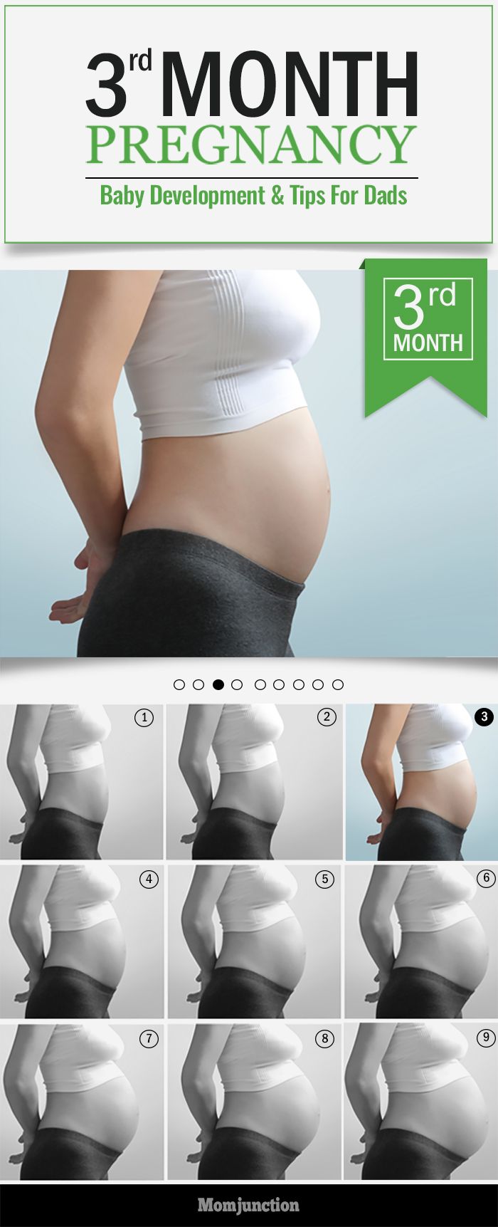 the pregnant woman's stomach is shown with eight different stages to be tummy