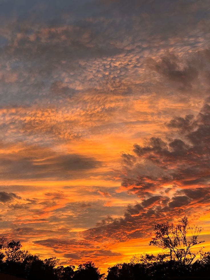 an airplane is flying in the sky at sunset with clouds and trees around it as the sun sets