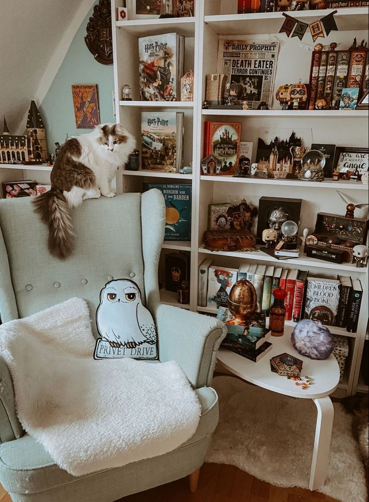 a cat sitting on top of a chair next to a book shelf filled with books