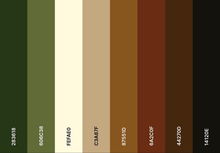 the color scheme for different shades of green and brown