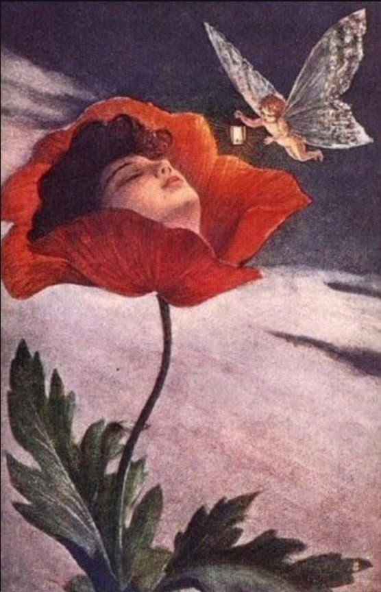 a painting of a woman sleeping on top of a flower next to a flying bird