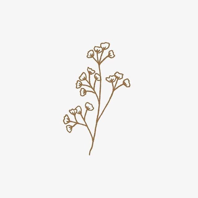 a drawing of some flowers on a white background