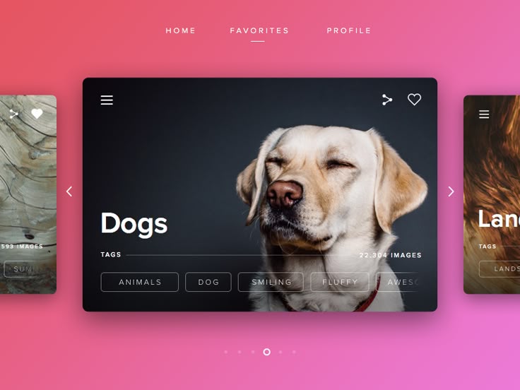 three website screens with dogs on them, one is pink and the other is brown