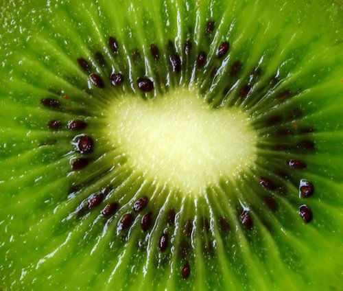 a kiwi fruit sliced in half with the center surrounded by seeds