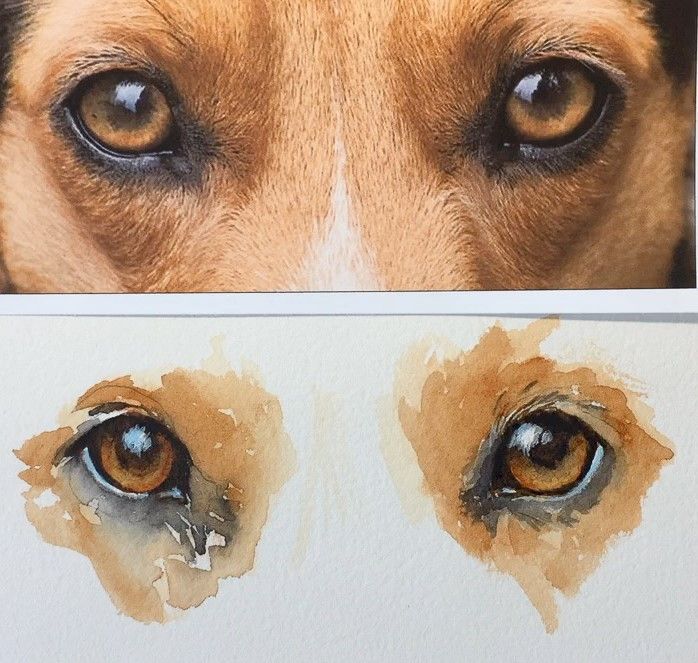 a dog's eyes and nose are shown in two different pictures, one is brown and the other is blue