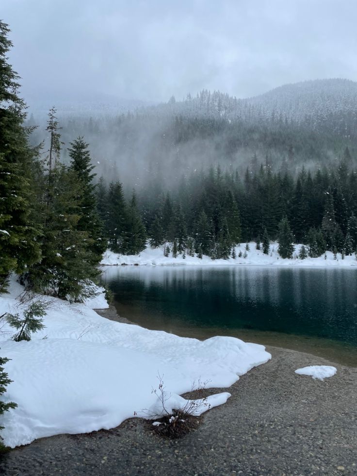 a body of water surrounded by snow covered mountains and evergreen trees on a cloudy day