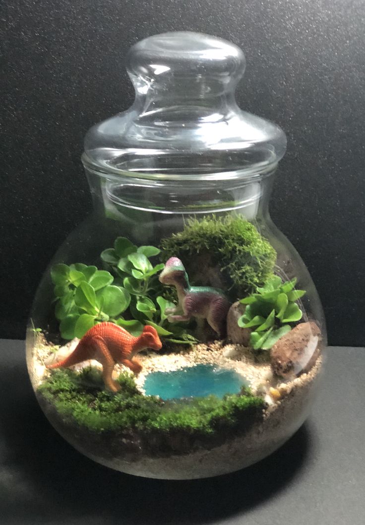 a glass jar filled with plants and animals