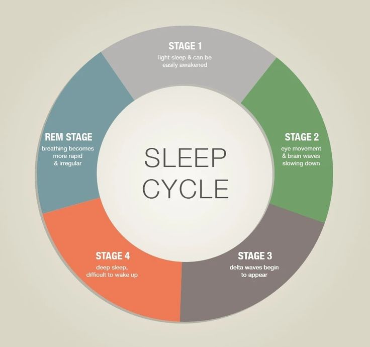 Sleep Cycle Chart, Sleep Clinic, Stages Of Sleep, Sleep Studies, Rem Sleep, Adequate Sleep, Sleep Health, Restorative Sleep, Sleep Cycle