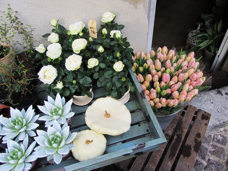 some white flowers and other plants on a table