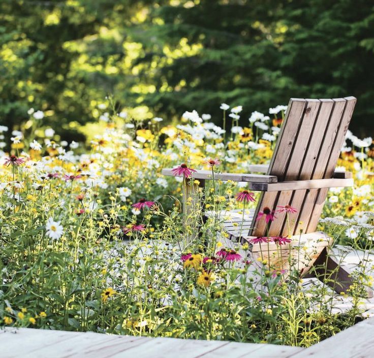 a wooden chair sitting in the middle of a field of daisies and wildflowers