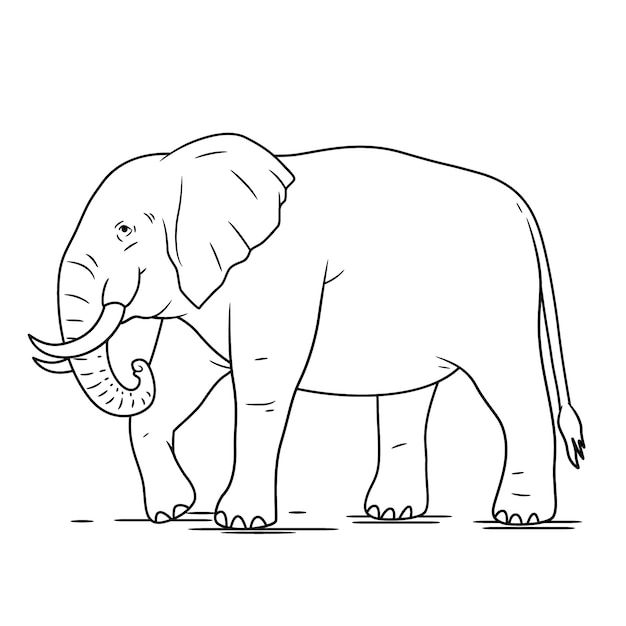 an elephant is standing with its trunk in the air