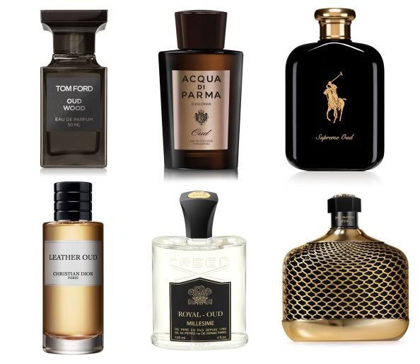 Here is a list of seductive oud perfumes - Impress, seduce, become irresistible and put her in the mood with the exotic scent of OUD Seductive Perfume, Best Mens Cologne, Best Perfume For Men, Oud Fragrance, Der Gentleman, Oud Perfume, Best Fragrance For Men, Top Perfumes, Men's Cologne