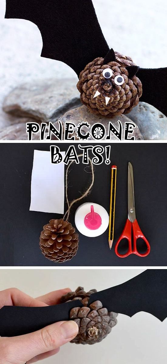 pinecone bat craft for kids to make