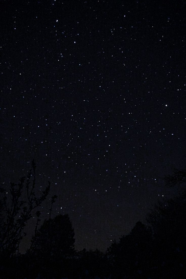 the night sky is filled with stars and trees