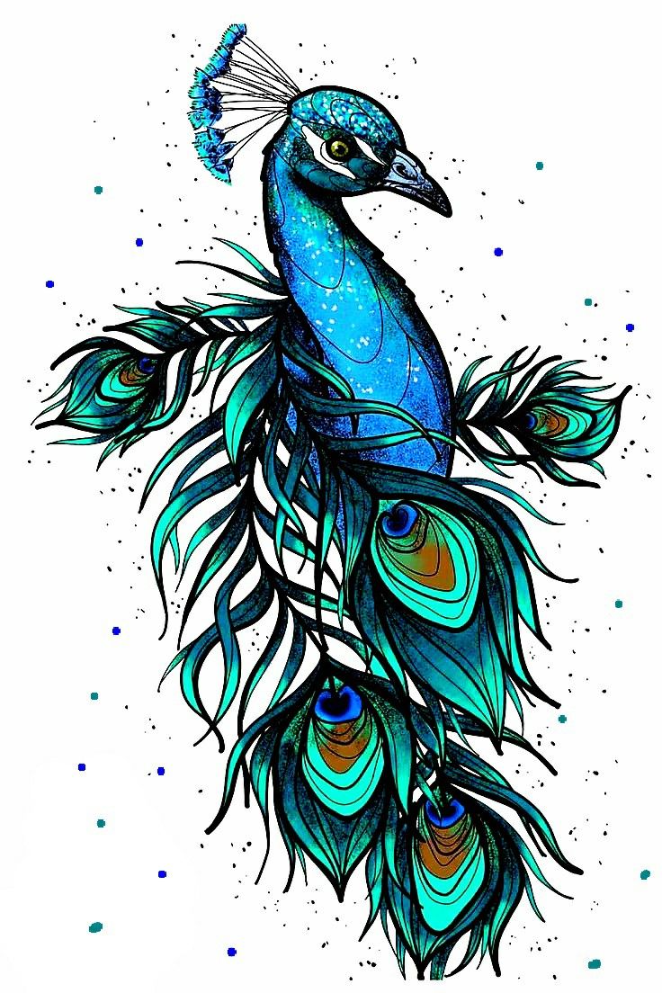 a drawing of a peacock with feathers on it's back