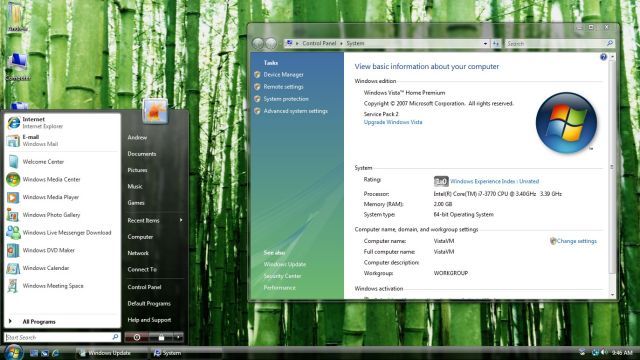 an image of windows vista on the computer screen with bamboo in the backgroud