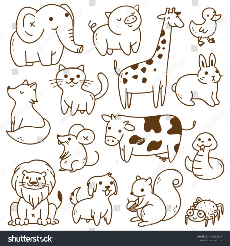 an image of different animals and birds in black and white line art on a white background