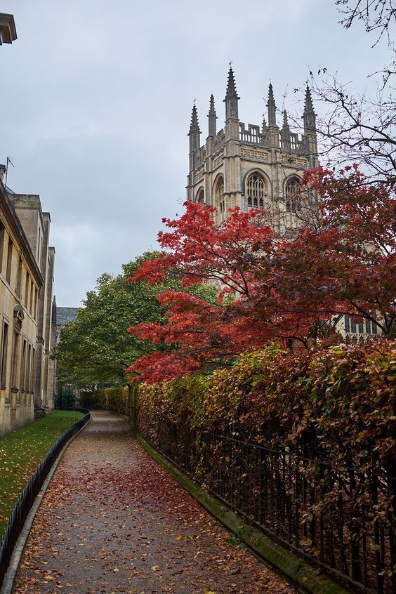 an alley with trees lining the sides and buildings on either side, in front of a church