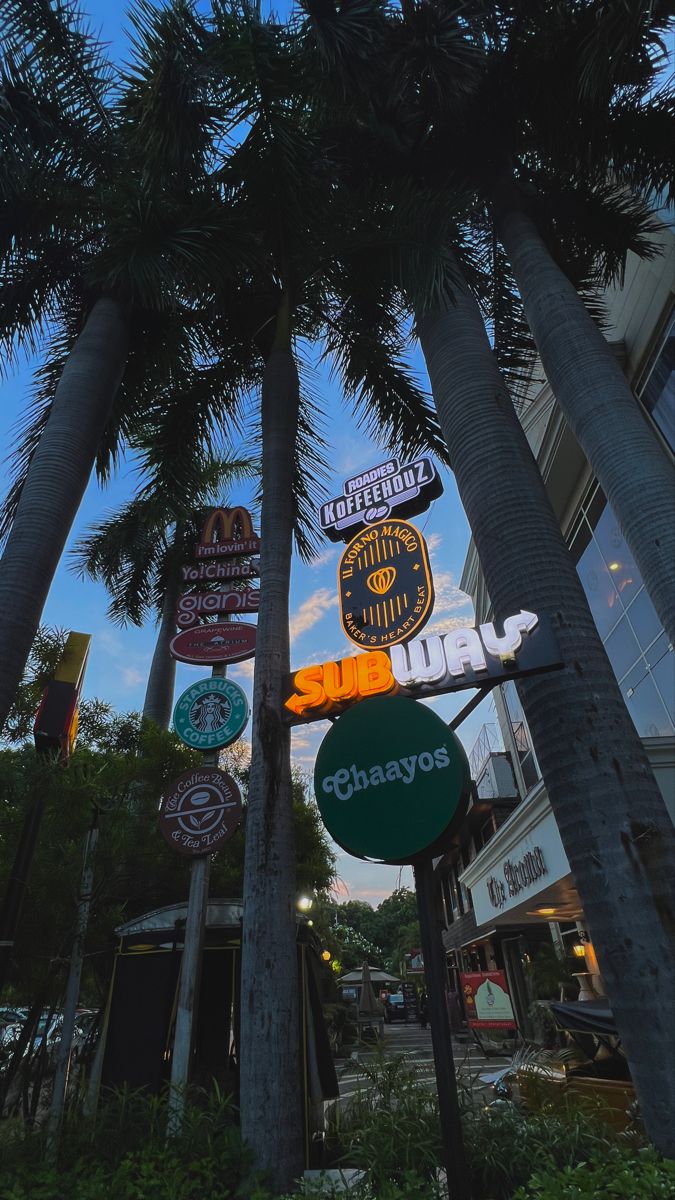 several palm trees and signs on the side of a building at dusk, with blue sky in background