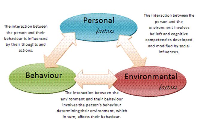 a diagram showing the different types of behavior