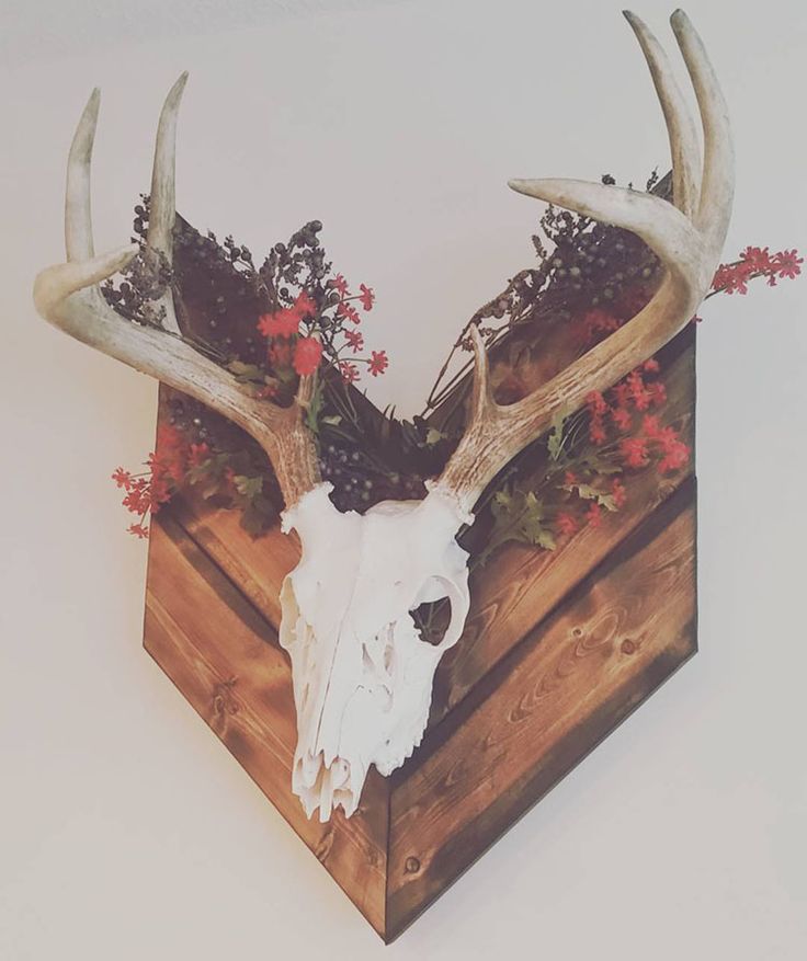 a deer's skull with antlers and flowers is mounted on a wooden box