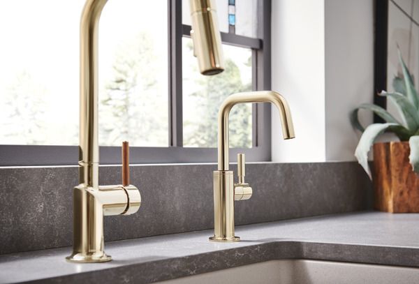 a kitchen sink with two faucets and a potted plant in the corner