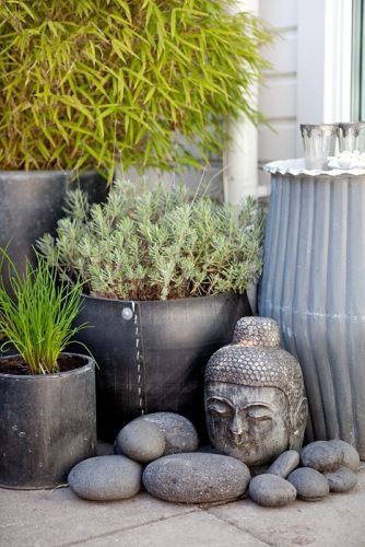 an instagram photo with plants and rocks in the foreground, and a buddha statue on the other side