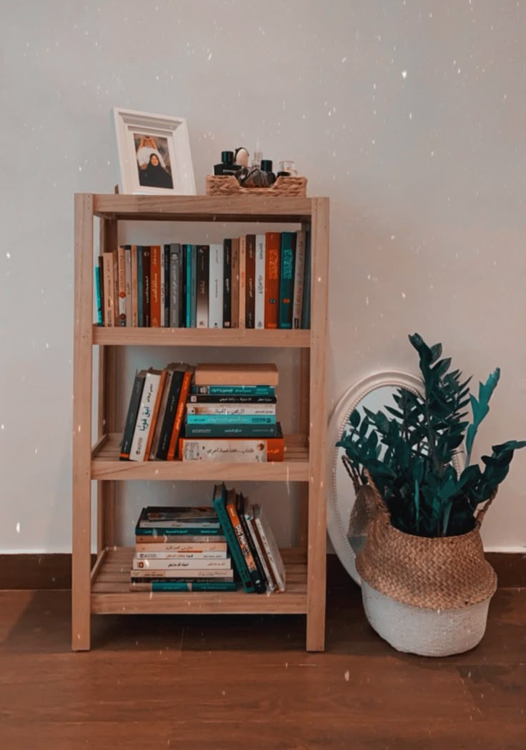 a bookshelf with many books on it next to a potted plant