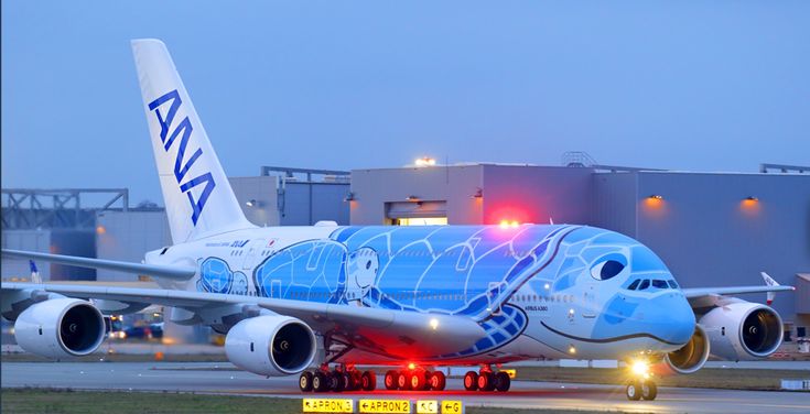 an airplane that has been painted with blue and white flowers on it's side